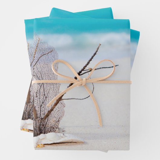 Zandstrand met witte schelpen inpakpapier vel (In situ)