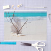 Zandstrand met witte schelpen tissuepapier (Craft)