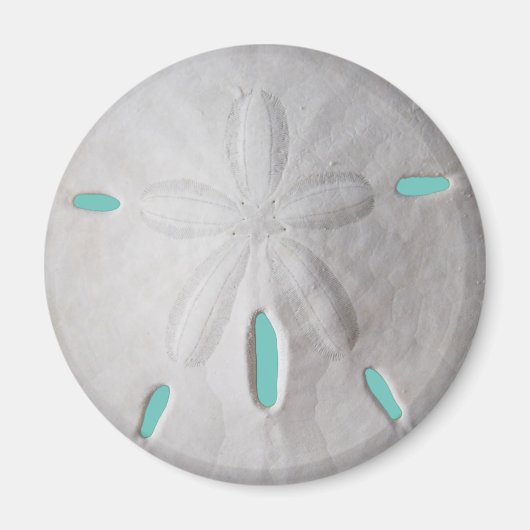 Zandstrand op zee in de zeescheepvaart magneet (Voorkant)