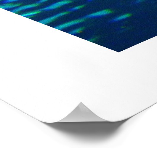 Zandtijgerhaai Poster (Hoek)