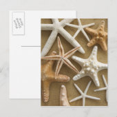 Zandvis Briefkaart (Voorkant / Achterkant)