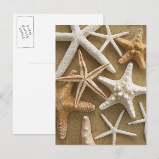 Zandvis Briefkaart (Voorkant / Achterkant)