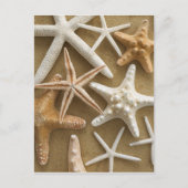 Zandvis Briefkaart (Voorkant)