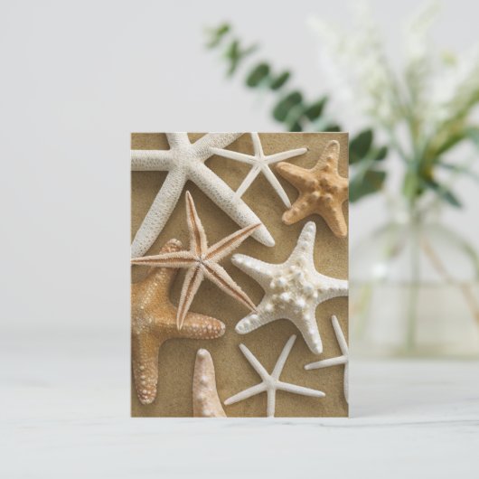 Zandvis Briefkaart (Staand voorkant)