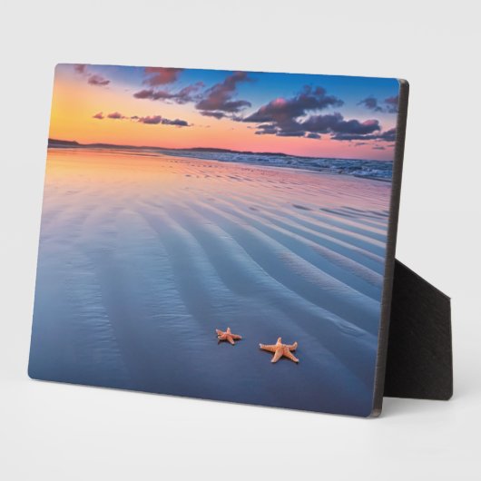 Zandvis Fotoplaat (Zijkant)