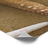 Zandvis Poster (Hoek)