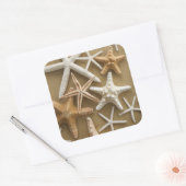 Zandvis Vierkante Sticker (Envelop)