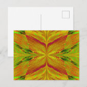Zandvlinder 1 briefkaart (Voorkant / Achterkant)