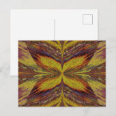 Zandvlinder 23 briefkaart (Voorkant / Achterkant)