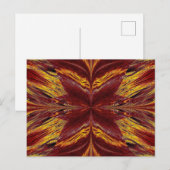 Zandvlinder 6 briefkaart (Voorkant / Achterkant)