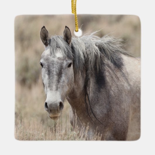 Zandwassenbekken Wilde paarden Keramisch siermeel Keramisch Ornament (Voorkant)