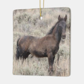 Zandwassenbekken Wilde paarden Keramisch siermeel Keramisch Ornament (Links)