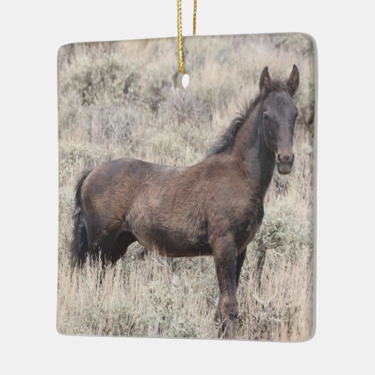 Zandwassenbekken Wilde paarden Keramisch siermeel Keramisch Ornament (Links)