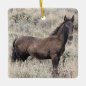 Zandwassenbekken Wilde paarden Keramisch siermeel Keramisch Ornament (Voorkant)