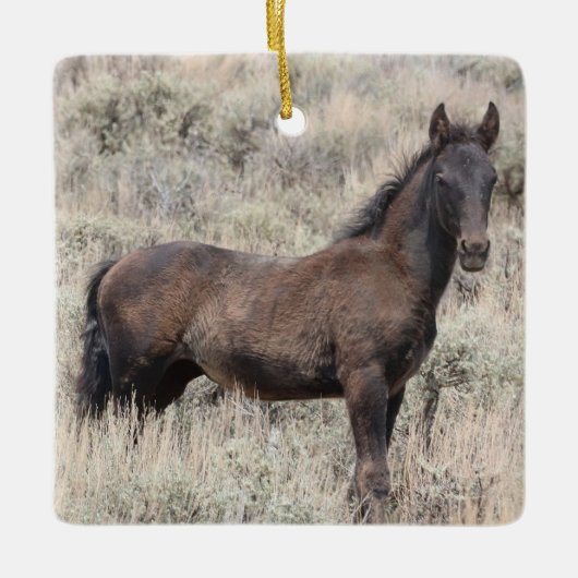 Zandwassenbekken Wilde paarden Keramisch siermeel Keramisch Ornament (Voorkant)