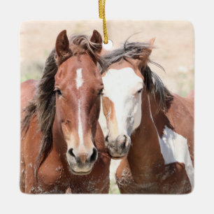 Zandwassenbekken Wilde paarden Keramisch siermeel Ornament