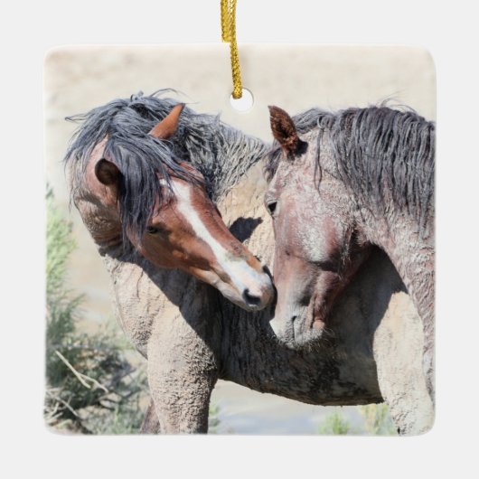 Zandwassenbekken Wilde paarden Keramisch siermeel Ornament (Voorkant)