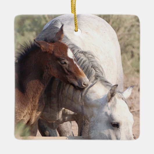 Zandwassenbekken Wilde paarden Keramisch siermeel Ornament (Voorkant)