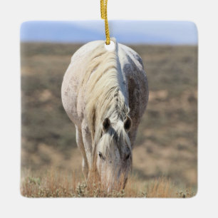 Zandwassenbekken Wilde paarden Keramisch siermeel Ornament