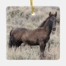 Zandwassenbekken Wilde paarden Keramisch siermeel Ornament