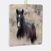 Zandwassenbekken Wilde paarden Keramisch siermeel Ornament (Rechts)