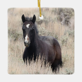 Zandwassenbekken Wilde paarden Keramisch siermeel Ornament