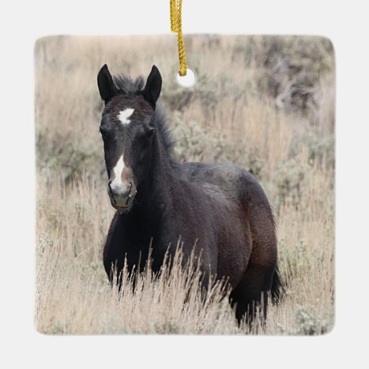 Zandwassenbekken Wilde paarden Keramisch siermeel Ornament (Voorkant)