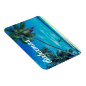 Zandwit strand met tropische palmen Bahama's Magneet (Rechterzijde)