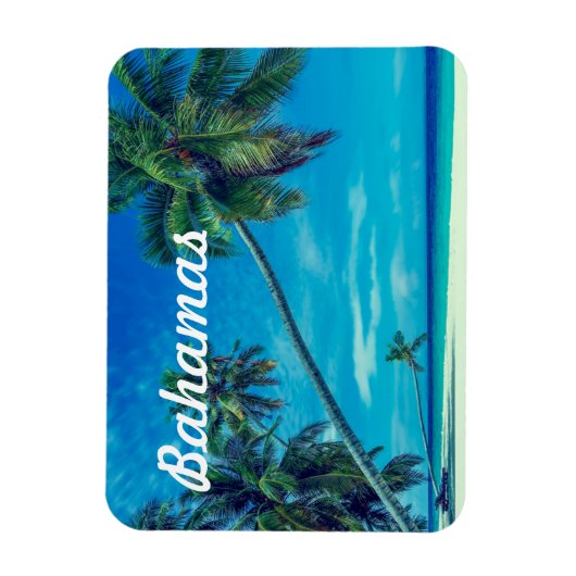 Zandwit strand met tropische palmen Bahama's Magneet (Verticaal)