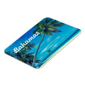 Zandwit strand met tropische palmen Bahama's Magneet (Linkerzijde)