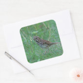 Zangmus in het gras vierkante sticker (Envelop)