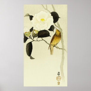 Zangvogel & Camelia Poster