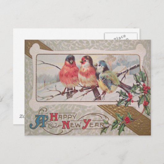 Zangvogel Holly Snow Briefkaart (Voorkant / Achterkant)