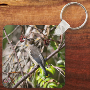 Zangvogel op tak, Pestvogel Sleutelhanger