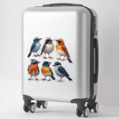 Zangvogel Sticker Collectie Set 🐦 (Koffer)