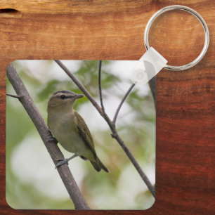 Zangvogel Vireo, Zachte Bos Zanger Sleutelhanger