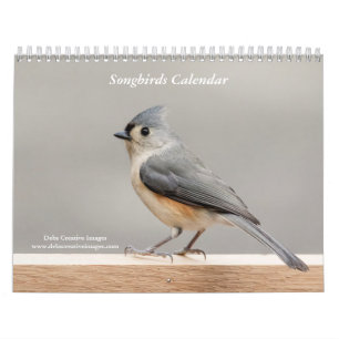 Zangvogels 2025 kalender