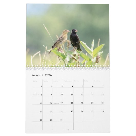 Zangvogels 2026 kalender (Mar 2026)