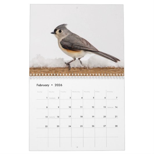 Zangvogels 2026 kalender (Feb 2026)