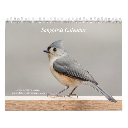 Zangvogels 2026 kalender (Hoes)