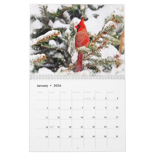 Zangvogels 2026 kalender (Jan 2026)