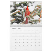 Zangvogels 2026 kalender (Jan 2027)