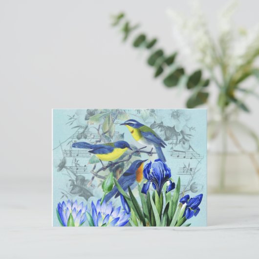  zangvogels Apparel en Gifts Briefkaart (Staand voorkant)