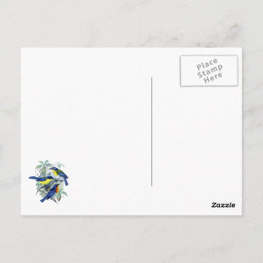  zangvogels Apparel en Gifts Briefkaart (Achterkant)