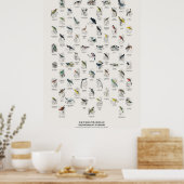 Zangvogels - Naturalist's Library Poster (Keuken)