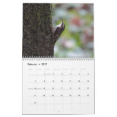 Zangvogels van Noord-Amerika Kalender (Feb 2027)