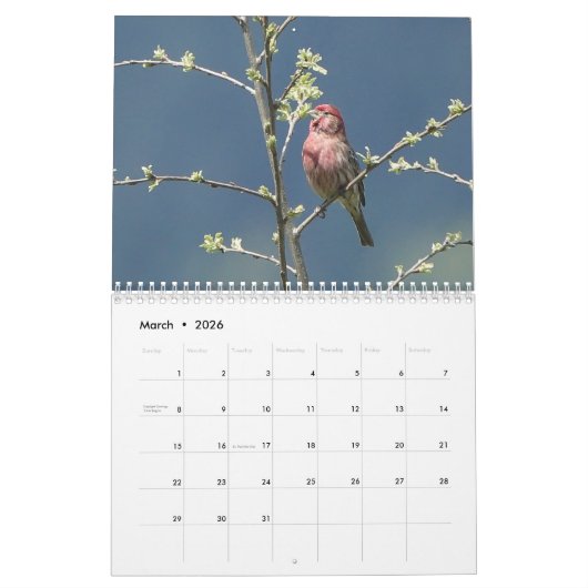 Zangvogels van Noord-Amerika Kalender (Mar 2026)