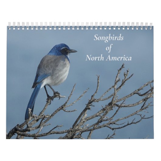 Zangvogels van Noord-Amerika Kalender (Hoes)