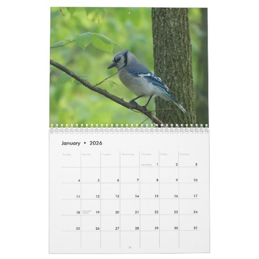 Zangvogels van Noord-Amerika Kalender (Jan 2026)