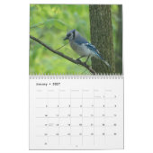 Zangvogels van Noord-Amerika Kalender (Jan 2027)